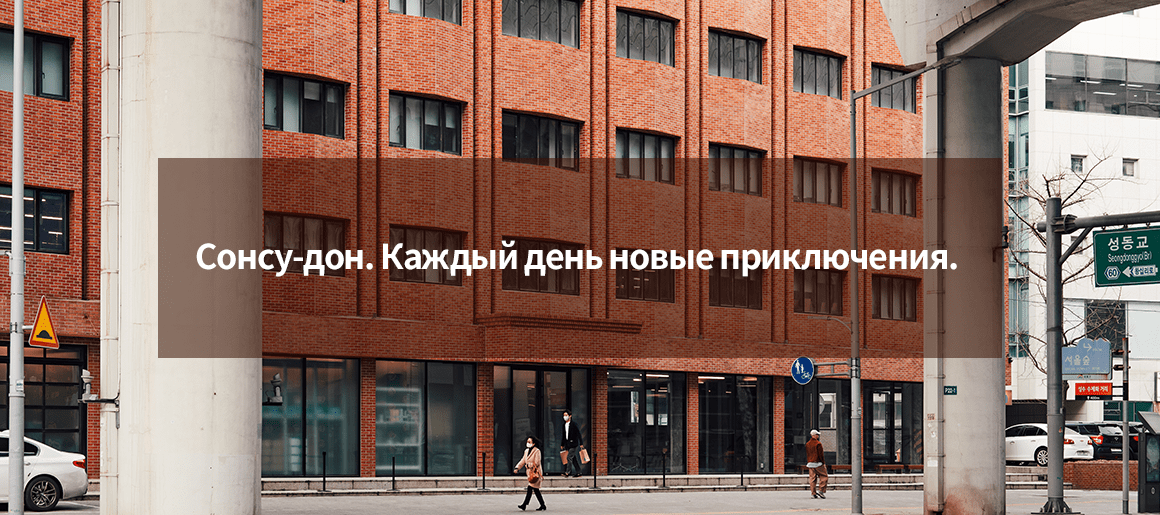 Сонсу-дон. Каждый день новые приключения.