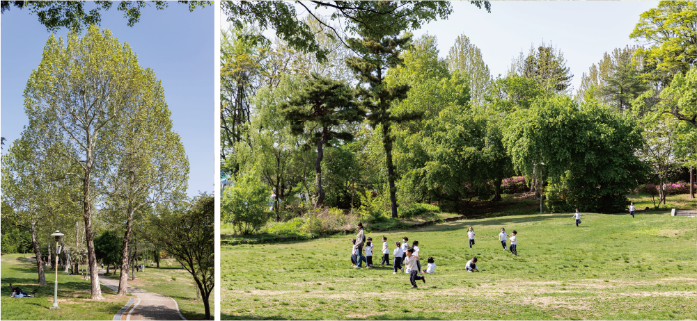 Seoul Children's Grand Park