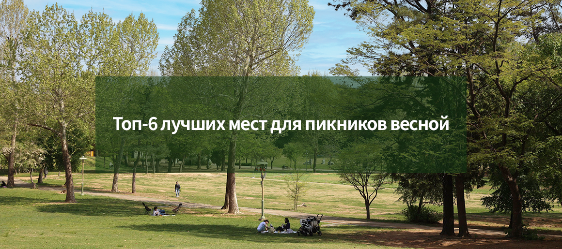 Топ-6 лучших мест для пикников весной