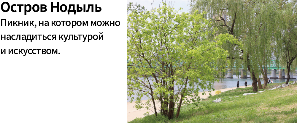 Остров Нодыль. Пикник, на котором можно насладиться культурой и искусством.