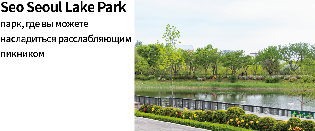 Seo Seoul Lake Park парк, где вы можете насладиться расслабляющим пикником