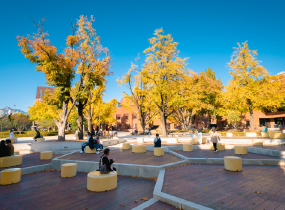 Парк Маронье (Marronnier Park)