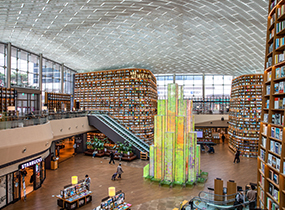 Библиотека Starfield Library