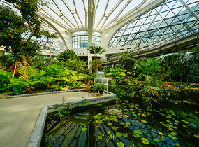 Сеульский Ботанический Парк (Seoul Botanic Park)