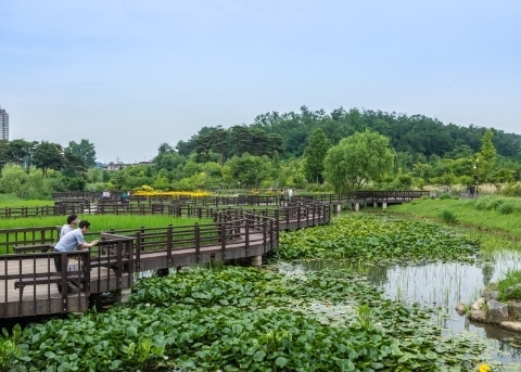 Ботанический сад Pureun Arboretum