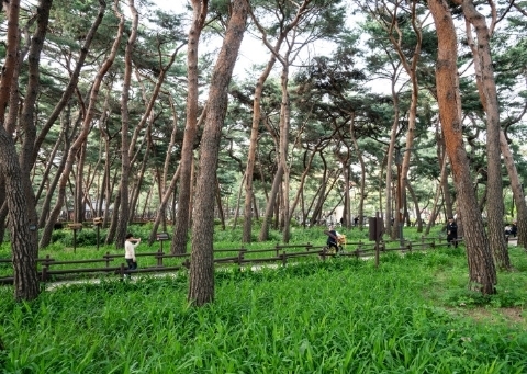 Парк Сольпат (Solbat Neighborhood Park)