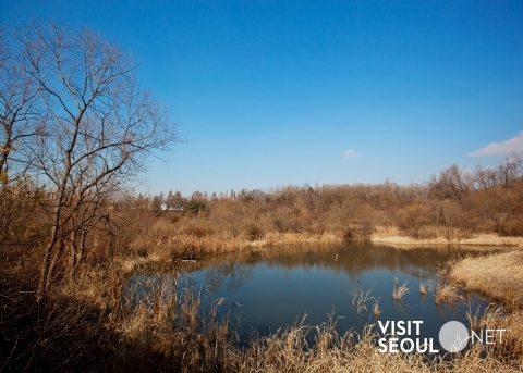 Природный парк Кильдон (Gildong Ecological Park)