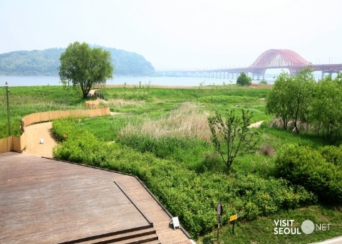 Природный парк Кансо (Gangseo Marsh Ecological Park)