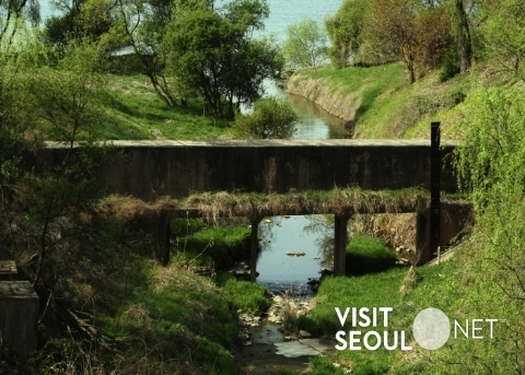 Прибрежный природный парк Кодок (Godeok Riverside Ecological Park)