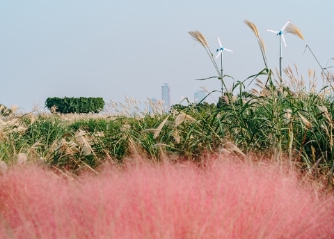 Парк Ханыль (Haneul Park)