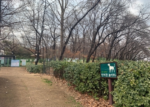 Площадка для собак в Большом детском парке (Children's Grand Park - Dog Park)