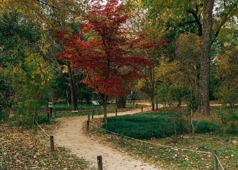 Ботанический сад Хоннын (Hongneung Arboretum)