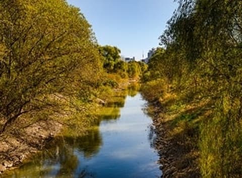 Экологический Парк Ёыйдо Сэткан (Yeouido Saetgang Ecological Park)